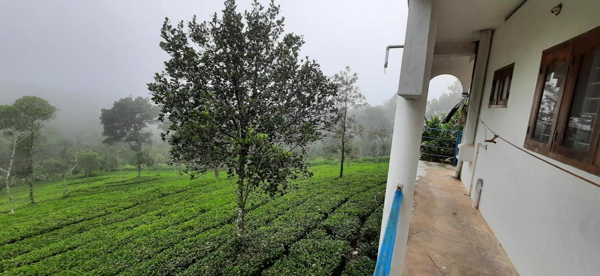 Best Mist Idukki Exteriör bild