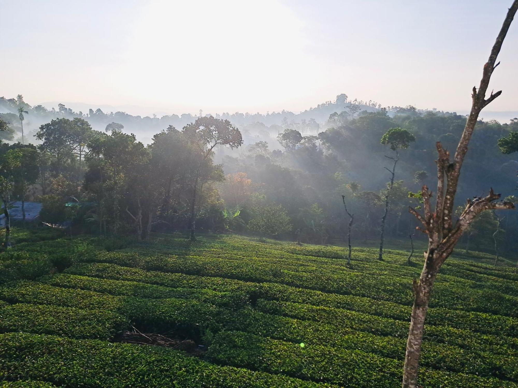 Best Mist Idukki Exteriör bild
