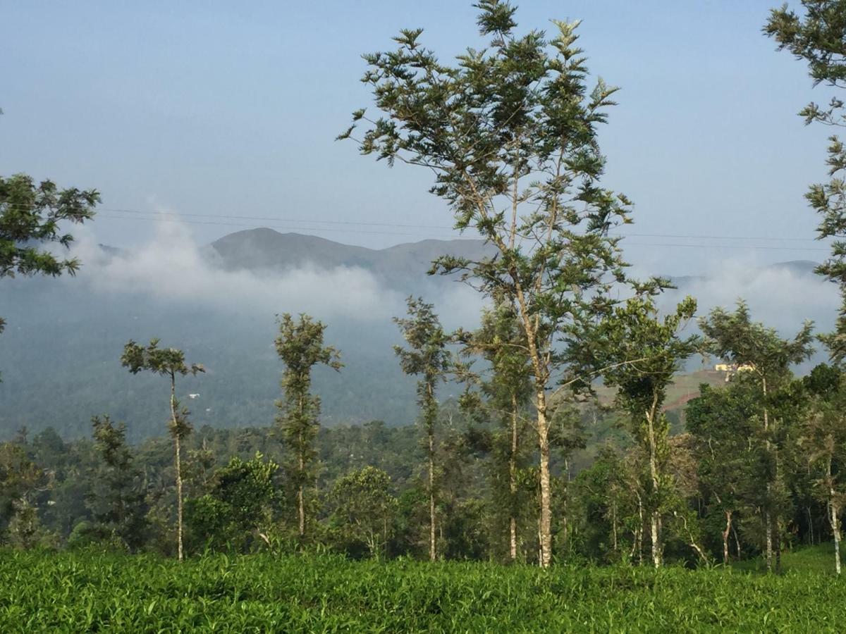 Best Mist Idukki Exteriör bild